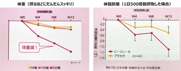 ビフィズス菌ビースリー